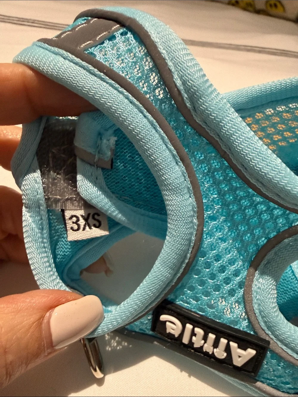 Annie Light Blue Padded Mesh Dog Harness with Matching Leash brand new